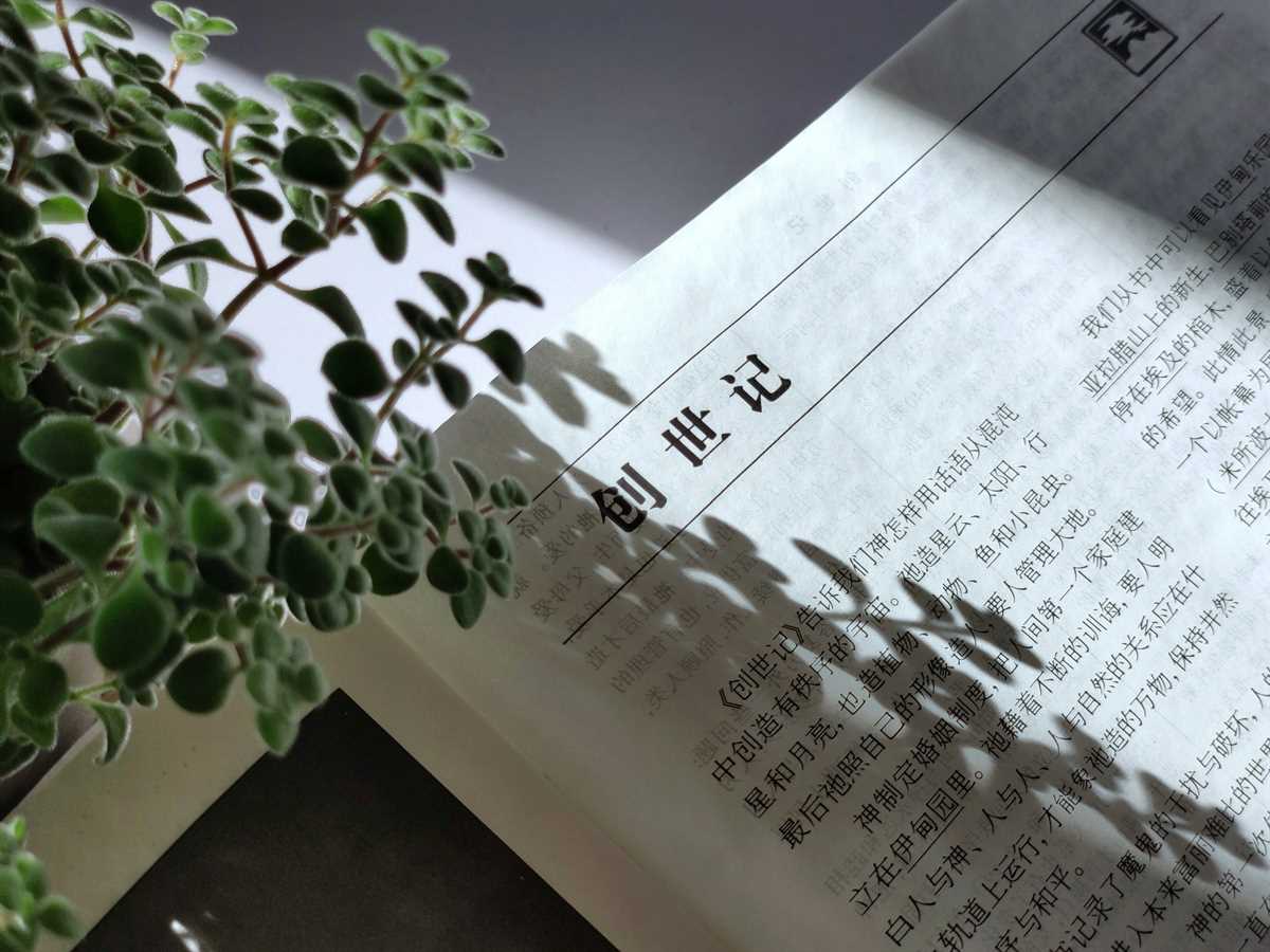 神笔AI写小说创作场景